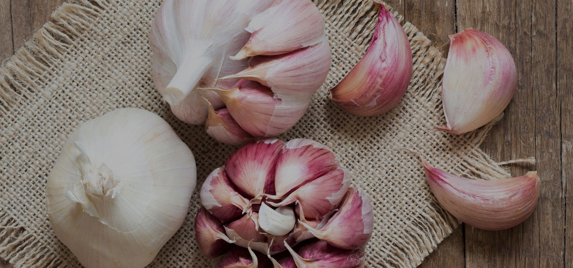 Dehydrated Garlic Banner Image