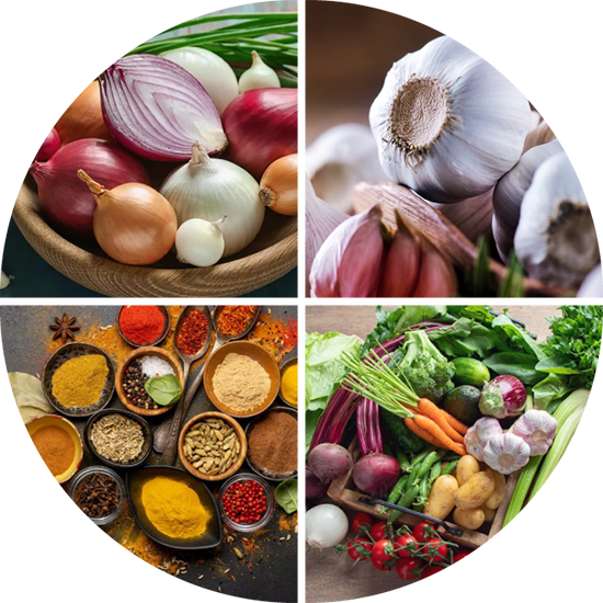 Dehydrated Vegetables Image